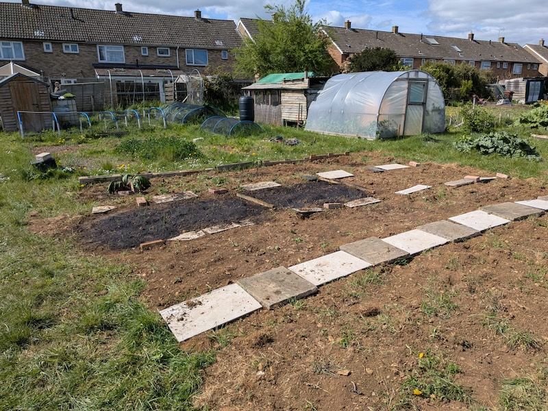 The allotment plot with patches of planted areas.